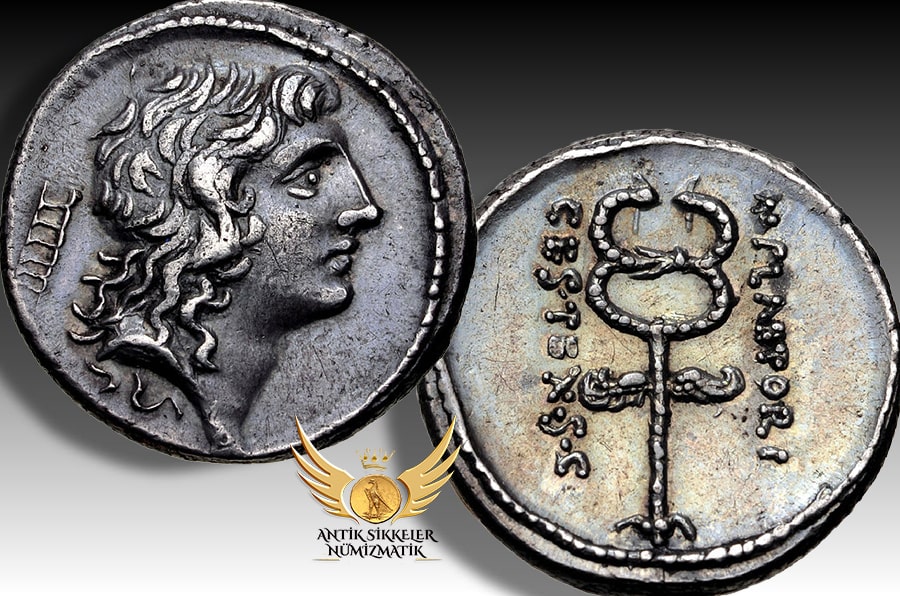 ANTİK SİKKELER NÜMİZMATİK_Plaetorius Cestianus .jpg