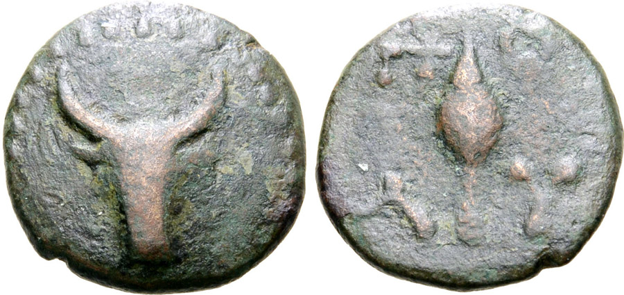 ANTİK SİKKELER NÜMİZMATİK_Polyrrhenia5 (4).jpg