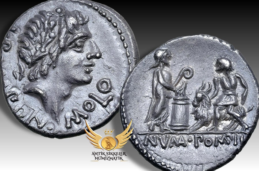 ANTİK SİKKELER NÜMİZMATİK_Pomponius Molo.jpg
