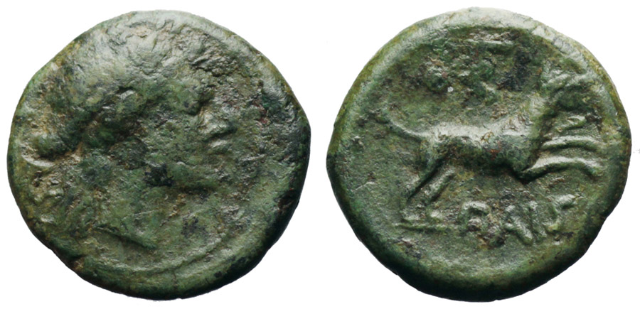 ANTİK SİKKELER NÜMİZMATİK_POSEDIONA2 (5).jpg