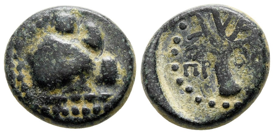 ANTİK SİKKELER NÜMİZMATİK_Prostanna (14).jpg