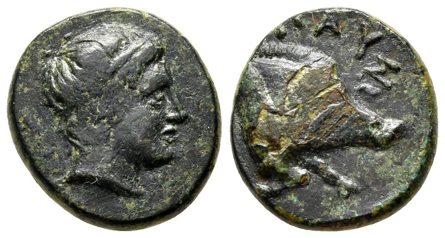 ANTİK SİKKELER NÜMİZMATİK_PS8 (1).jpg