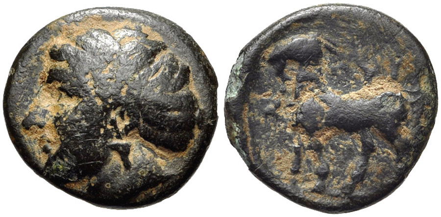 ANTİK SİKKELER NÜMİZMATİK_PYRRA (7).jpg