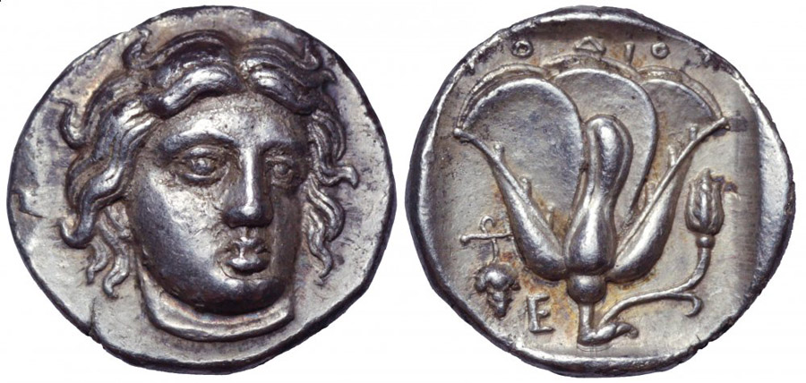 ANTİK SİKKELER NÜMİZMATİK_RODOS001 (5).jpg