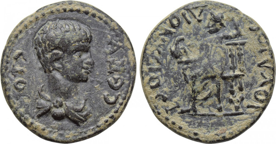 ANTİK SİKKELER NÜMİZMATİK_SEBASTE1 (6).jpg