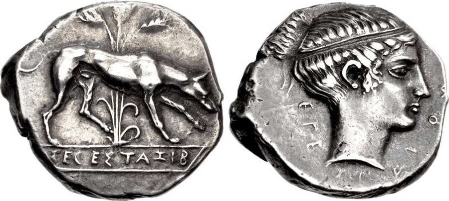 ANTİK SİKKELER NÜMİZMATİK_SEGESTA (1).jpg