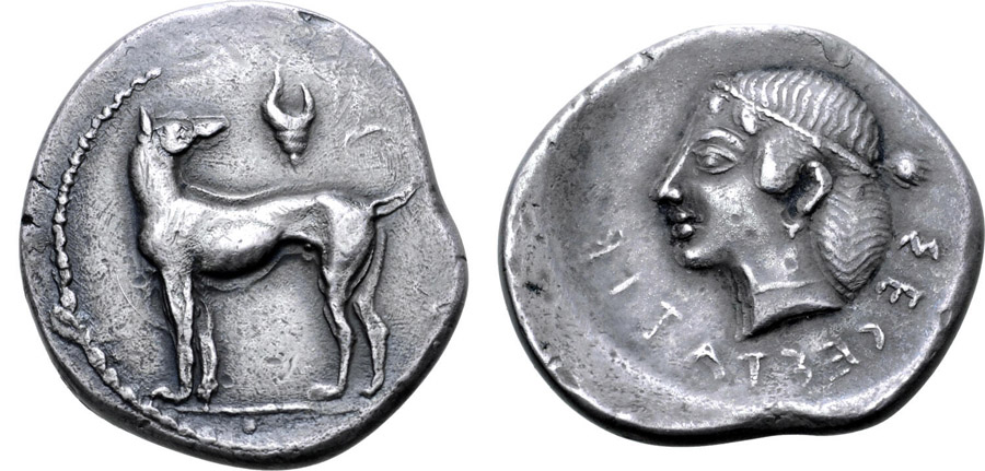 ANTİK SİKKELER NÜMİZMATİK_SEGESTA (10).jpg