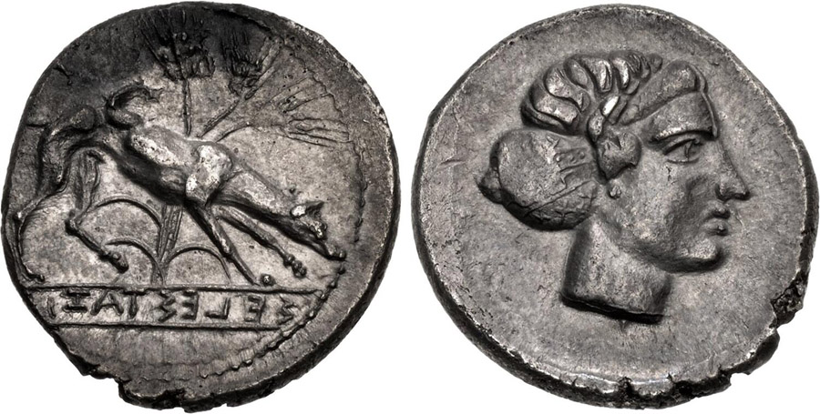 antik sikkeler nümizmatik_segesta (10).jpg