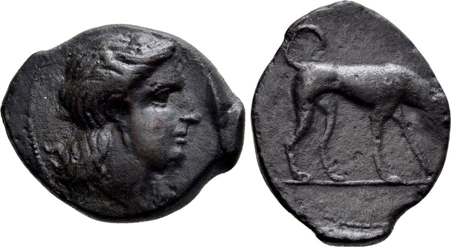 ANTİK SİKKELER NÜMİZMATİK_SEGESTA (11).jpg