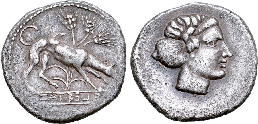 ANTİK SİKKELER NÜMİZMATİK_SEGESTA (3).jpg