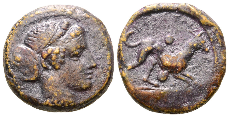 ANTİK SİKKELER NÜMİZMATİK_SEGESTA (3).jpg