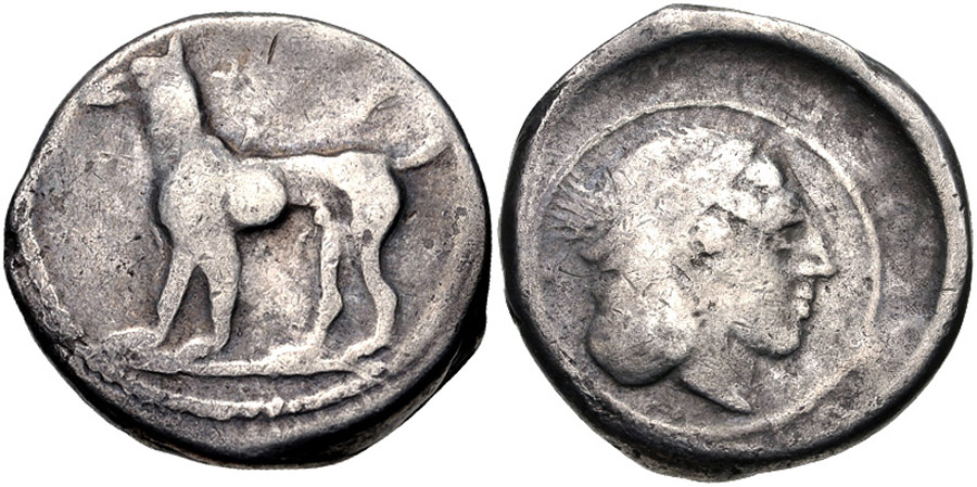 antik sikkeler nümizmatik_segesta (7).jpg