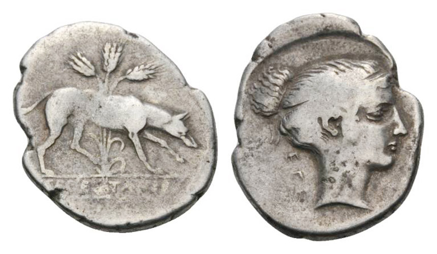 ANTİK SİKKELER NÜMİZMATİK_SEGESTA (8).jpg