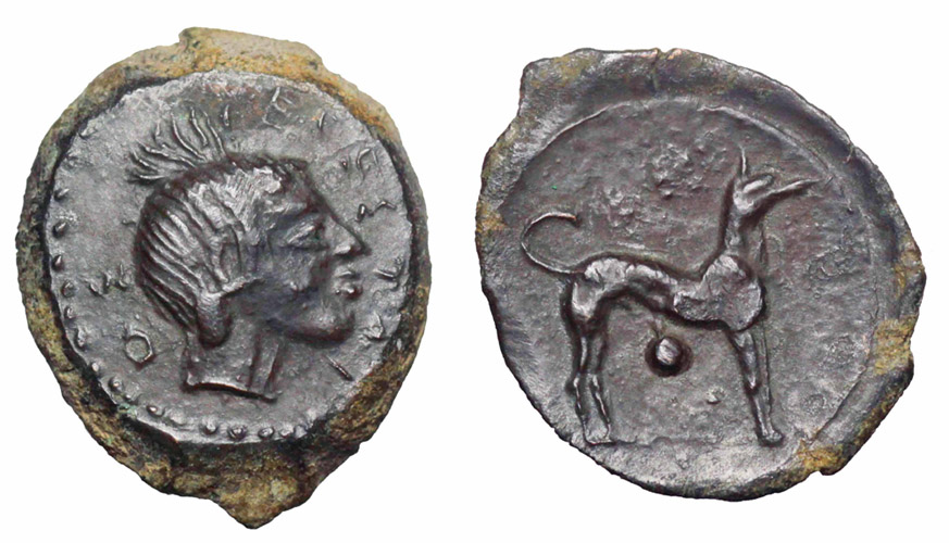 ANTİK SİKKELER NÜMİZMATİK_SEGESTA (9).jpg