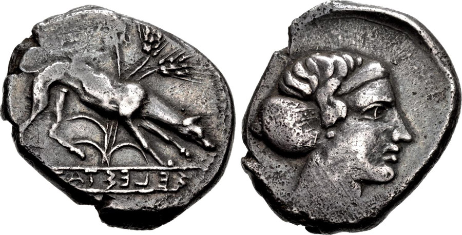 antik sikkeler nümizmatik_segesta (9).jpg