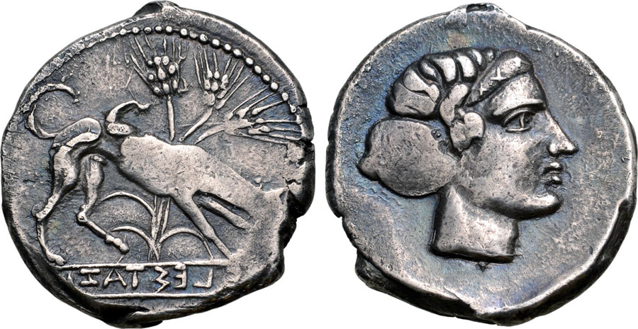 ANTİK SİKKELER NÜMİZMATİK_SEGESTA2 (4).jpg