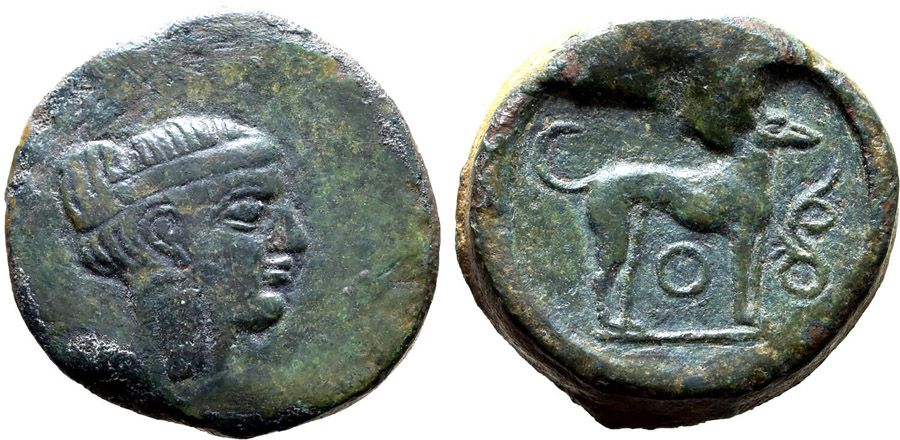 ANTİK SİKKELER NÜMİZMATİK_SEGESTA2 (8).jpg