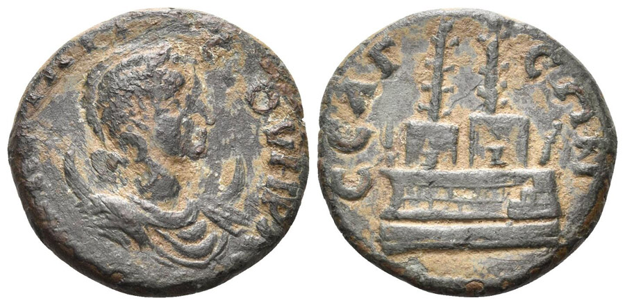 ANTİK SİKKELER NÜMİZMATİK_SELGE01 (10).jpg