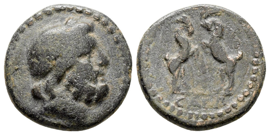 ANTİK SİKKELER NÜMİZMATİK_sg1 (2).jpg