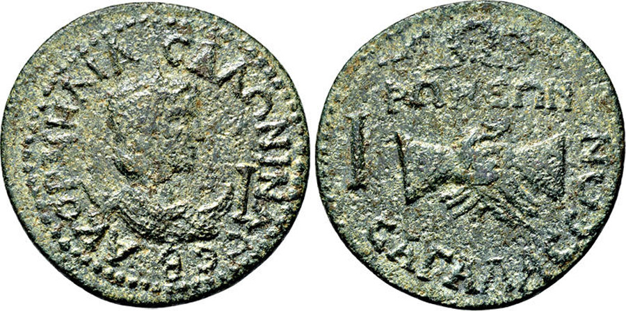 ANTİK SİKKELER NÜMİZMATİK_sg7 (3).jpg