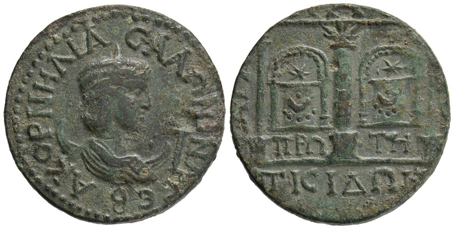 ANTİK SİKKELER NÜMİZMATİK_sg7 (8).jpg