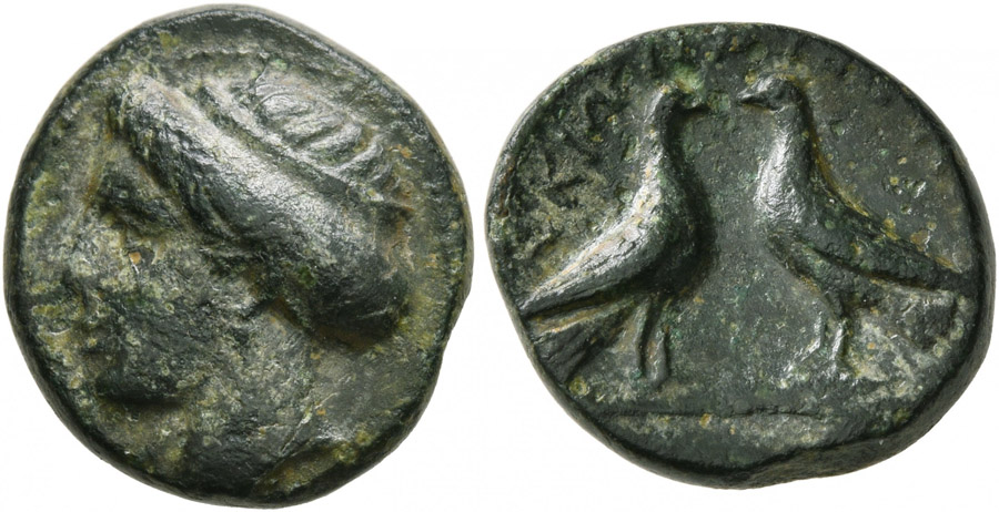 ANTİK SİKKELER NÜMİZMATİK_SK078CX (8).jpg