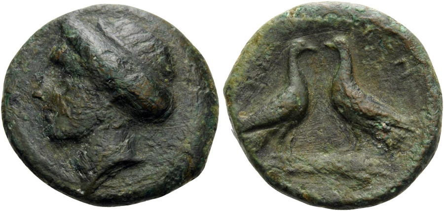 antik sikkeler nümizmatik_sk45xc (4).jpg