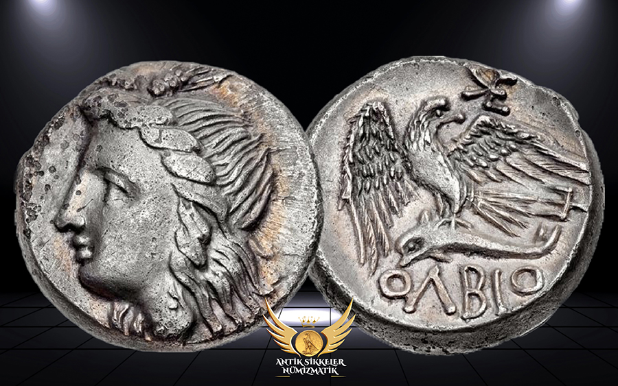 ANTİK SİKKELER NÜMİZMATİK_Skythia Olbia (3).jpg