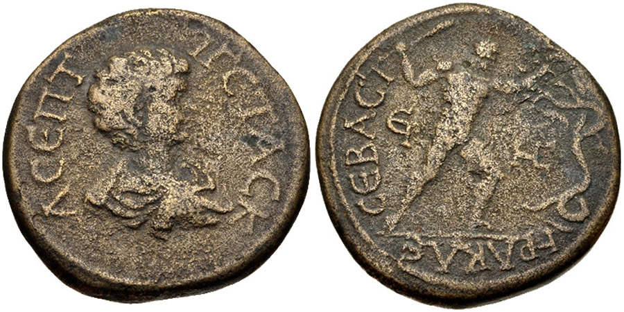 ANTİK SİKKELER NÜMİZMATİK_SP3 (5).jpg