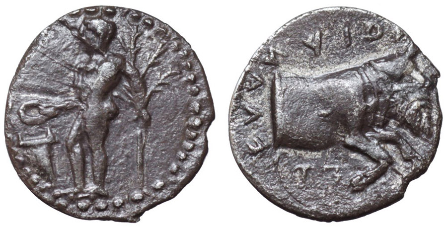 ANTİK SİKKELER NÜMİZMATİK_STİ2X (10).jpg