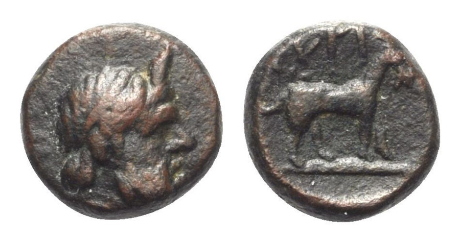 ANTİK SİKKELER NÜMİZMATİK_SYROS (11).jpg