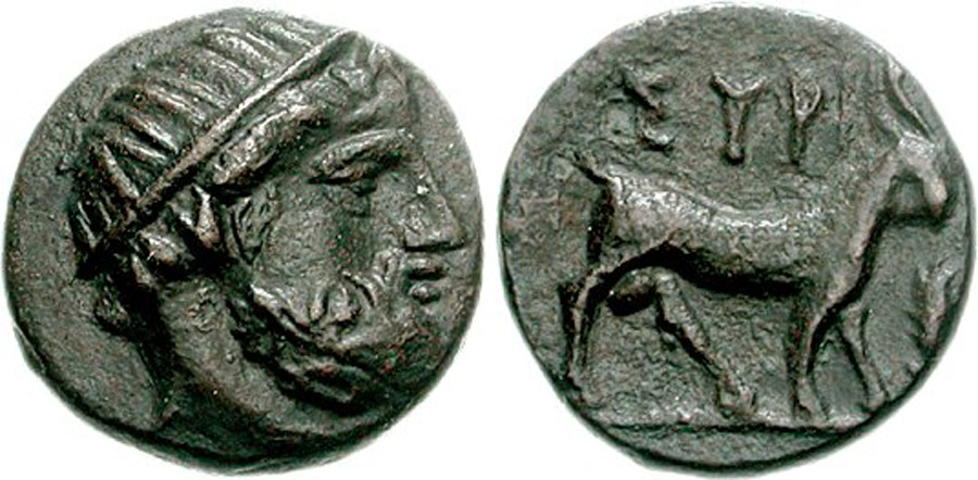 ANTİK SİKKELER NÜMİZMATİK_SYROS (5).jpg