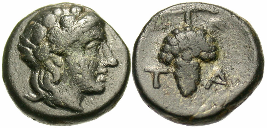 ANTİK SİKKELER NÜMİZMATİK_TEMNOS4 (3).jpg