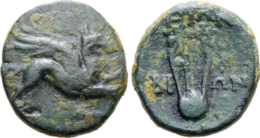 ANTİK SİKKELER NÜMİZMATİK_teos (9).jpg