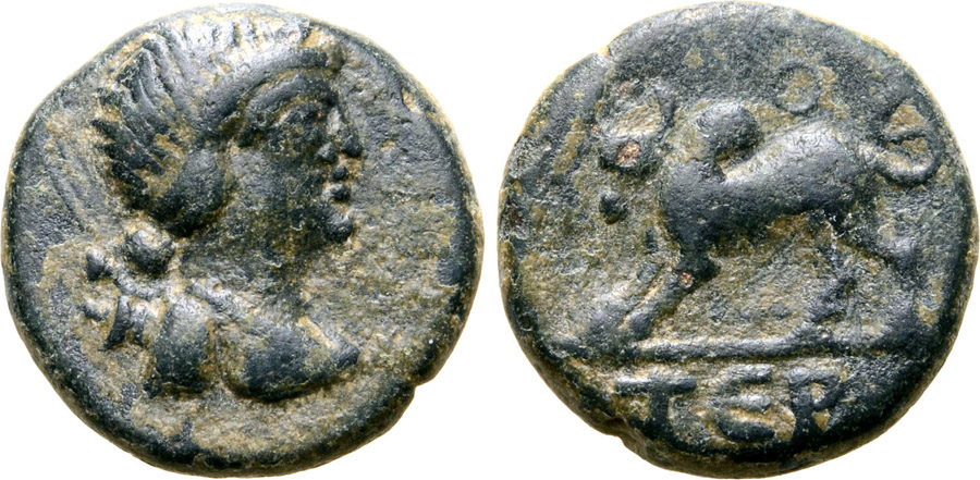 ANTİK SİKKELER NÜMİZMATİK_TER5 (10).jpg