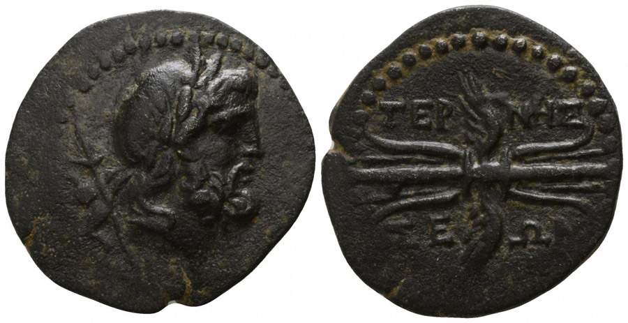 ANTİK SİKKELER NÜMİZMATİK_term3 (6).jpg