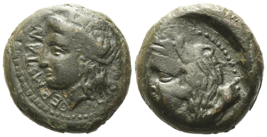 ANTİK SİKKELER NÜMİZMATİK_Thermai Himerensis (10).jpg