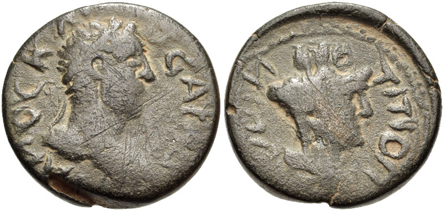 ANTİK SİKKELER NÜMİZMATİK_Titiopolis (8).jpg