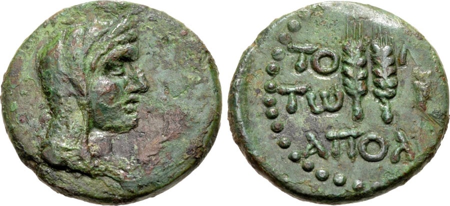 ANTİK SİKKELER NÜMİZMATİK_Tomis (12).jpg