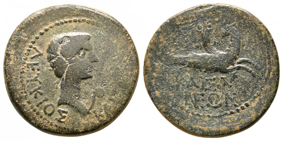 ANTİK SİKKELER NÜMİZMATİK_Tralleis8 (6).jpg