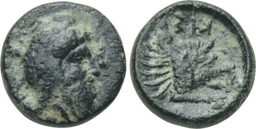 ANTİK SİKKELER NÜMİZMATİK_TX35 (1).jpg