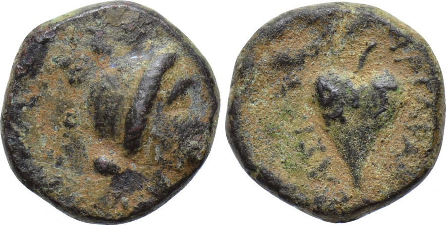 ANTİK SİKKELER NÜMİZMATİK_Tyana1 (2).jpg