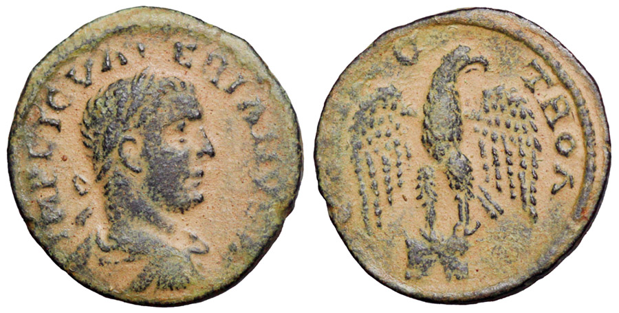 ANTİK SİKKELER NÜMİZMATİK_V7898H (4).jpg