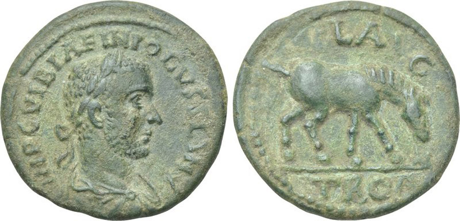 ANTİK SİKKELER NÜMİZMATİK_V7898H (9).jpg