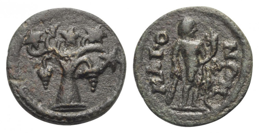 ANTİK SİKKELER NÜMİZMATİK_Y78734E3 (6).jpg