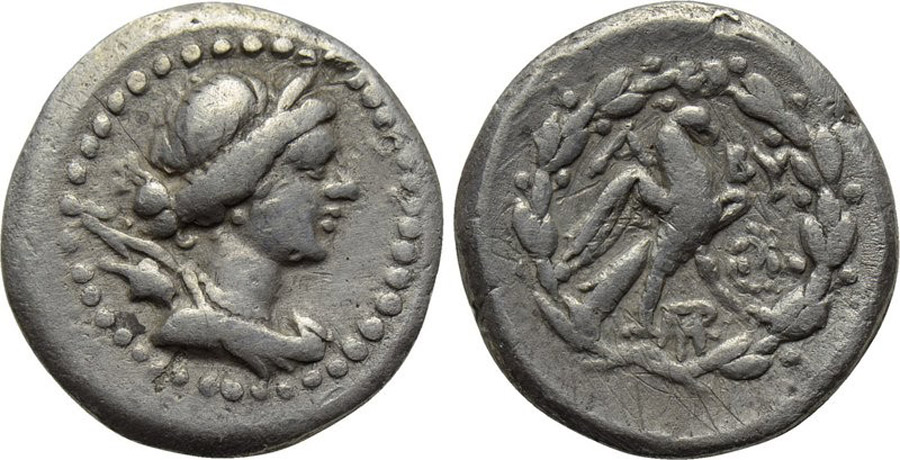 ANTİK SİKKELER NÜMİZMATİK_ye677683h (1).jpg