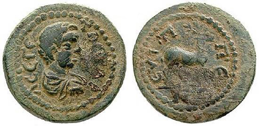 ANTİK SİKKELER NÜMİZMATİK_YG (1).jpg