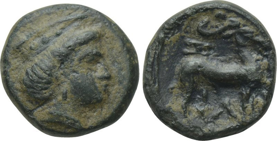 ANTİK SİKKELER NÜMİZMATİK_ZL1 (4).jpg