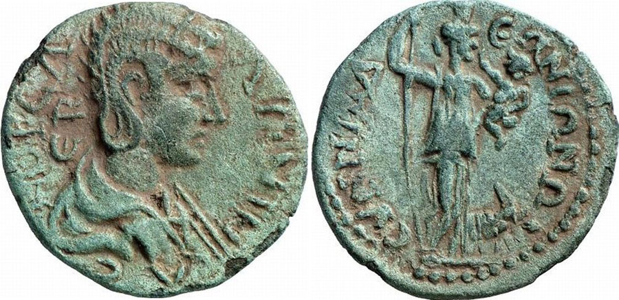 antik sikkeler nümizmatikd67689a (1).jpg