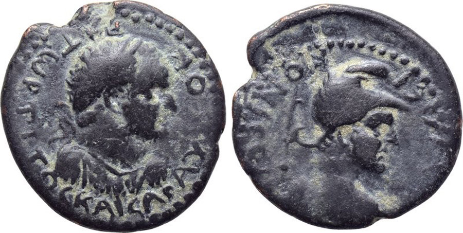 ANTİK SİKKELER NÜMİZMİATİK_IK02 (3).jpg